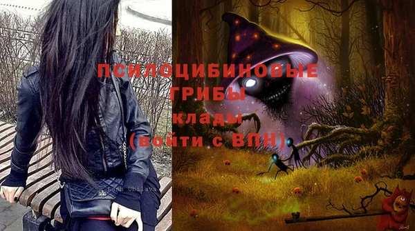гашик Алексин