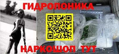 крисы Волжск