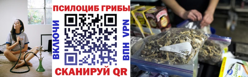 Псилоцибиновые грибы Cubensis Кимовск