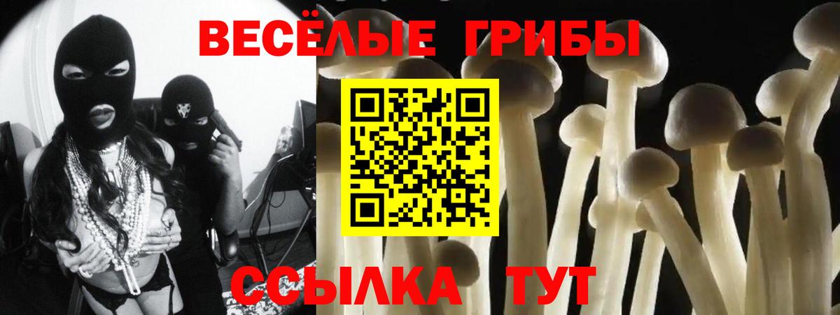 Галлюциногенные грибы Magic Shrooms  Псилоцибиновые грибы Cubensis  Вход с VPN  Кимовск 